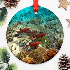 Coral Garden 1 Ornament (round) by trendistuff