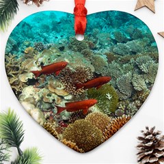 Coral Garden 1 Ornament (heart) by trendistuff