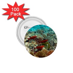 Coral Garden 1 1 75  Buttons (100 Pack)  by trendistuff