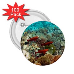 Coral Garden 1 2 25  Buttons (100 Pack)  by trendistuff