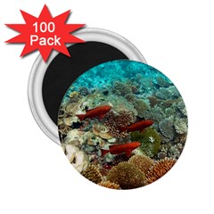 Coral Garden 1 2 25  Magnets (100 Pack)  by trendistuff