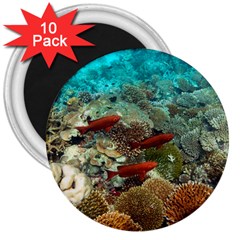 Coral Garden 1 3  Magnets (10 Pack)  by trendistuff