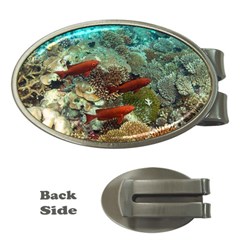 Coral Garden 1 Money Clips (oval)  by trendistuff