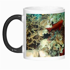 Coral Garden 1 Morph Mugs by trendistuff