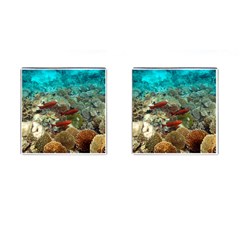 Coral Garden 1 Cufflinks (square) by trendistuff