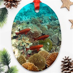 Coral Garden 1 Oval Ornament (two Sides) by trendistuff