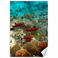 Coral Garden 1 Canvas 20  X 30   by trendistuff