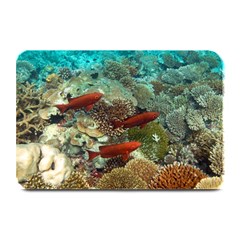 Coral Garden 1 Plate Mats by trendistuff