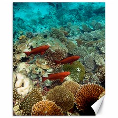 Coral Garden 1 Canvas 11  X 14   by trendistuff