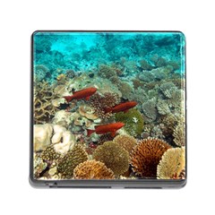 Coral Garden 1 Memory Card Reader (square) by trendistuff