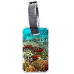 Coral Garden 1 Luggage Tags (two Sides)