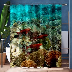 Coral Garden 1 Shower Curtain 60  X 72  (medium)  by trendistuff