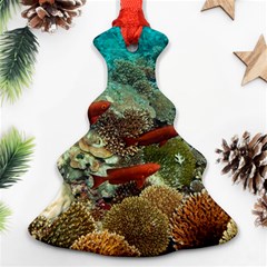 Coral Garden 1 Ornament (christmas Tree)  by trendistuff