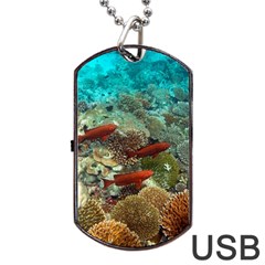 Coral Garden 1 Dog Tag Usb Flash (one Side) by trendistuff