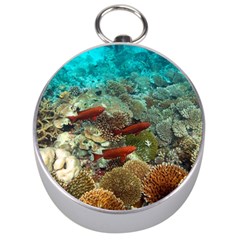 Coral Garden 1 Silver Compasses by trendistuff