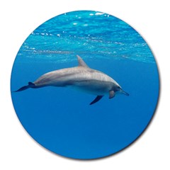 Dolphin 3 Round Mousepads by trendistuff