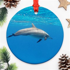 Dolphin 3 Ornament (round) by trendistuff