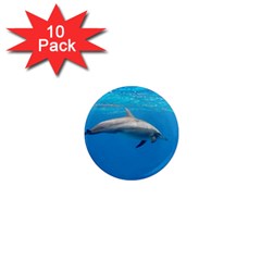 Dolphin 3 1  Mini Magnet (10 Pack)  by trendistuff