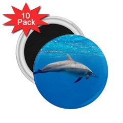 Dolphin 3 2 25  Magnets (10 Pack)  by trendistuff