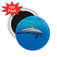 Dolphin 3 2 25  Magnets (100 Pack)  by trendistuff