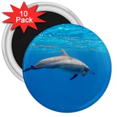 Dolphin 3 3  Magnets (10 Pack)  by trendistuff