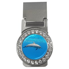 Dolphin 3 Money Clips (cz)  by trendistuff