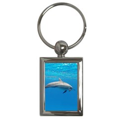 Dolphin 3 Key Chains (rectangle)  by trendistuff