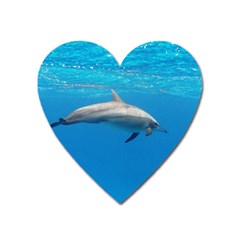 Dolphin 3 Heart Magnet by trendistuff