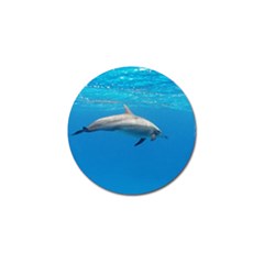 Dolphin 3 Golf Ball Marker (4 Pack) by trendistuff