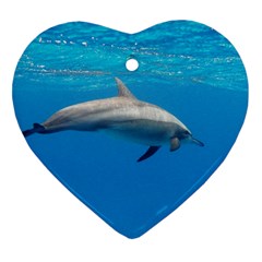 Dolphin 3 Heart Ornament (two Sides) by trendistuff