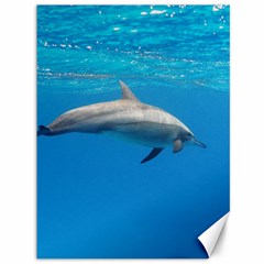 Dolphin 3 Canvas 36  X 48   by trendistuff