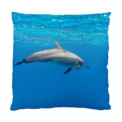 Dolphin 3 Standard Cushion Case (one Side) by trendistuff