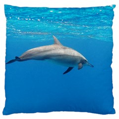 Dolphin 3 Large Cushion Case (one Side) by trendistuff