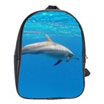 DOLPHIN 3 School Bag (XL) Front