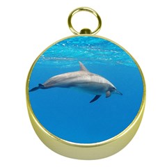 Dolphin 3 Gold Compasses by trendistuff