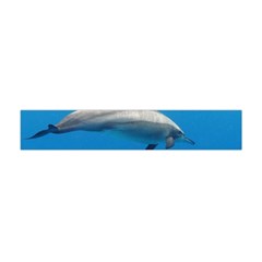 Dolphin 3 Flano Scarf (mini) by trendistuff