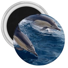 Dolphin 4 3  Magnets by trendistuff