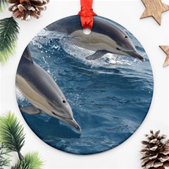 Dolphin 4 Ornament (round) by trendistuff