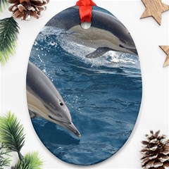 Dolphin 4 Ornament (oval) by trendistuff