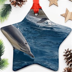 Dolphin 4 Ornament (star) by trendistuff