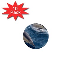 Dolphin 4 1  Mini Magnet (10 Pack)  by trendistuff