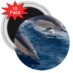 Dolphin 4 3  Magnets (10 Pack)  by trendistuff