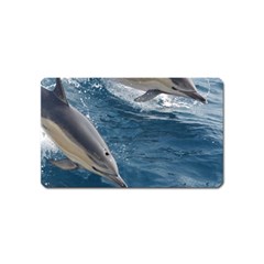 Dolphin 4 Magnet (name Card) by trendistuff