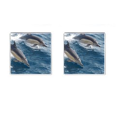 Dolphin 4 Cufflinks (square) by trendistuff