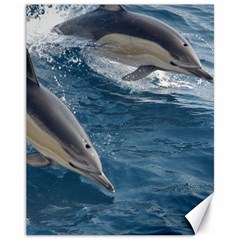 Dolphin 4 Canvas 11  X 14   by trendistuff