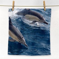 Dolphin 4 Face Towel by trendistuff