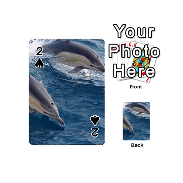 DOLPHIN 4 Playing Cards 54 (Mini) 