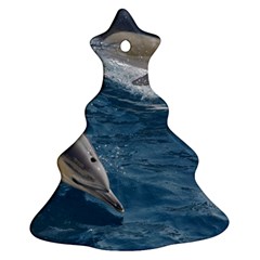 Dolphin 4 Christmas Tree Ornament (two Sides)