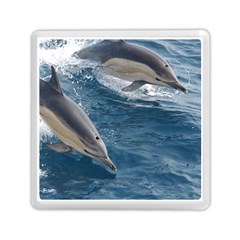 Dolphin 4 Memory Card Reader (square)  by trendistuff