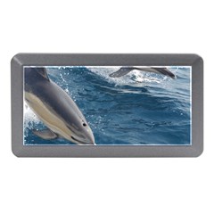 Dolphin 4 Memory Card Reader (mini) by trendistuff